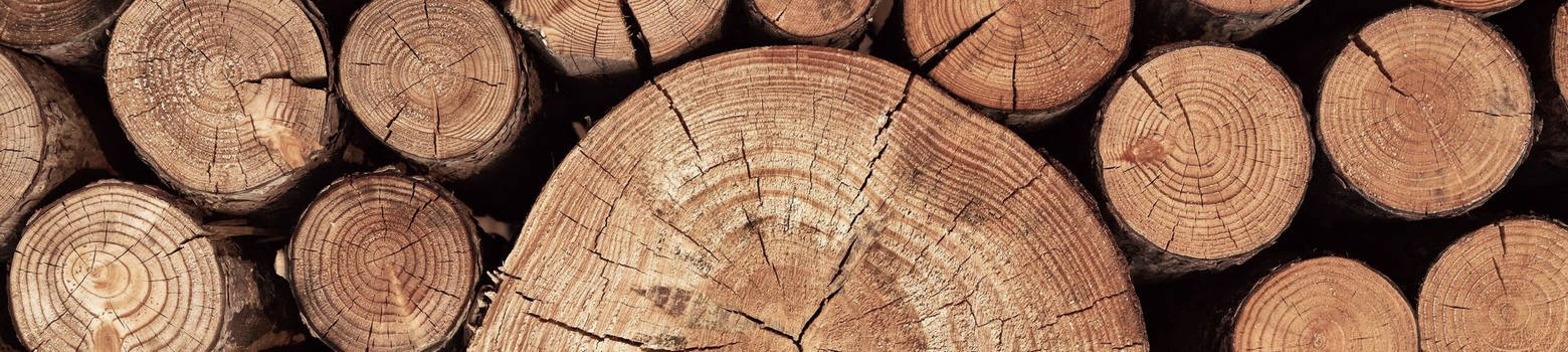 Пиломатеріали у Харкові