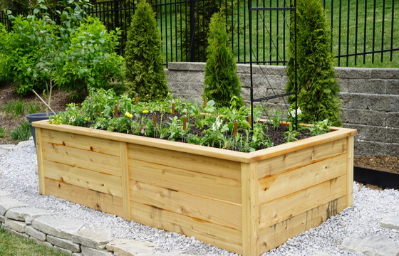 Квітка дерев'яна