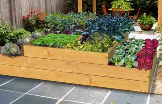 Садова квіткарка