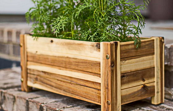 Ящик для квітів