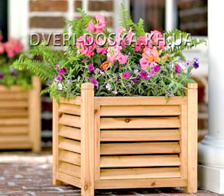 цветочница садовая